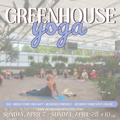 Greenhouse Yoga