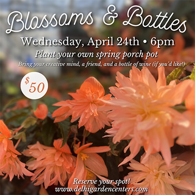 Blossoms and Bottles Workshop - Plant your own spring porch pot with us on Wednesday April 24th at 6pm.