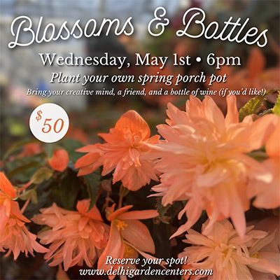 Blossoms and Bottles Workshop - Plant your own spring porch pot with us on Wednesday May 1st at 6pm.