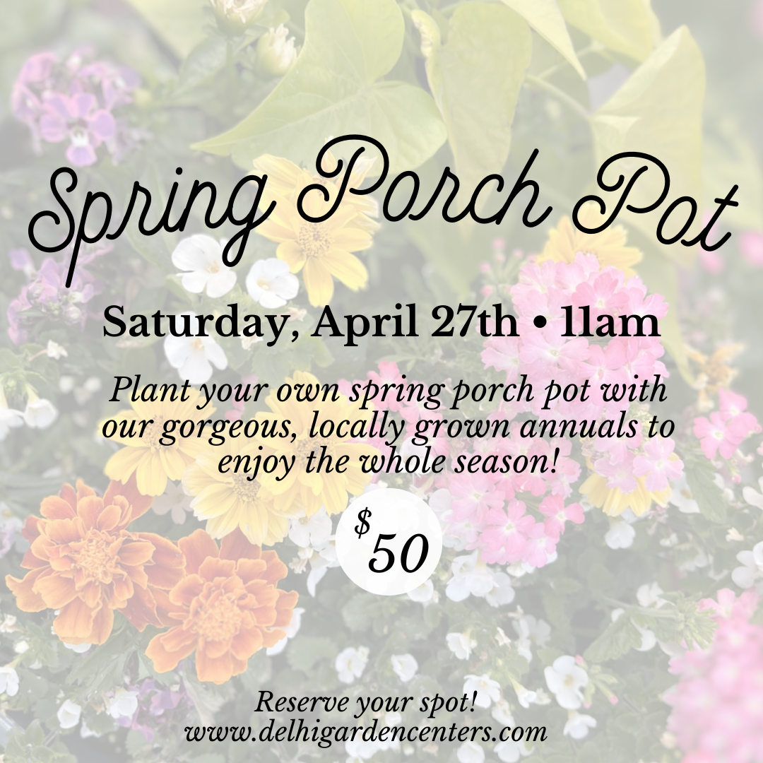 Spring Porch Pot