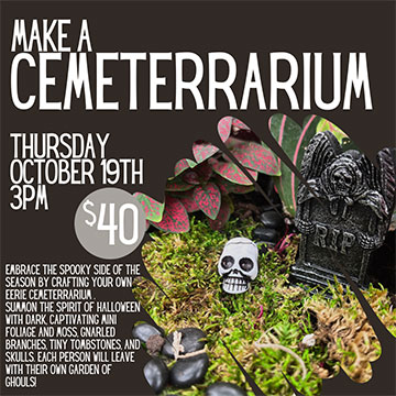 Make a cemeterrarium. Thursday October 19th @ 3PM