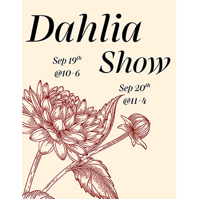 Dahlia Show