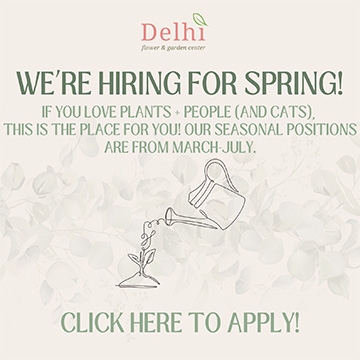 We're hiring for Spring! Seasonal positions are from March to July. Apply now!