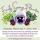 Build an Early Spring Planter with us on Saturday March 2nd at 11am. Sign up now!