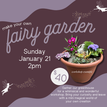 Make your own Fairy Garden workshop. Sunday January 21 at 2PM. $40 registration fee. Sign up now!