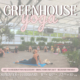 Greenhouse Yoga - Sundays in February - 11th, 18th, 25th at 10AM