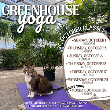 Greenhouse Yoga