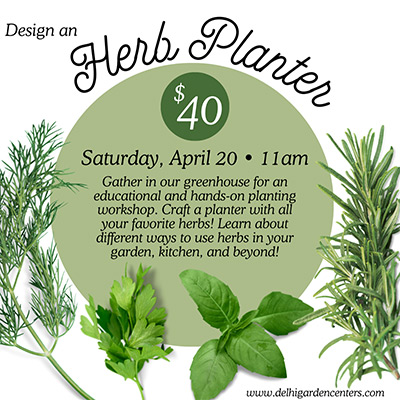 Design an Herb Planter on Saturday April 20th at 11am