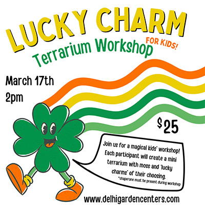 Lucky Charm Kids' Terrarium Workshop on March 17th at 2pm
