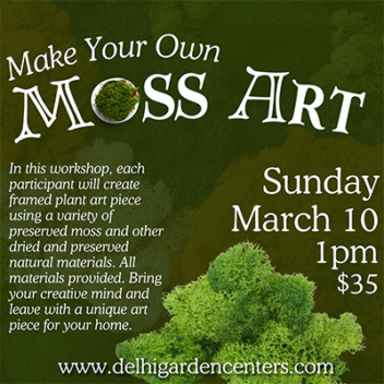 Make Your Own Moss Art - Delhi Flower and Garden Center