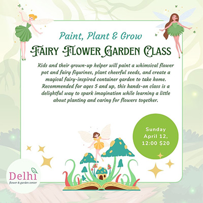 Paint a fairy Class