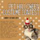 Pet Halloween Constume Contest. Sunday October 29th.