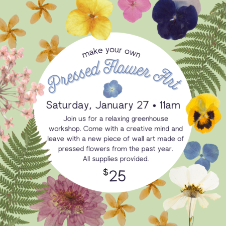 Make your own Pressed Flower Art workshop. Saturday January 27th at 11AM. $25 registration fee. Sign up now!