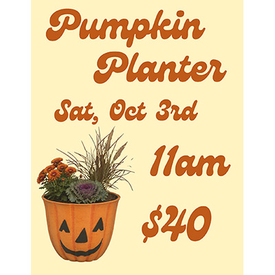 Pumpkin Planter