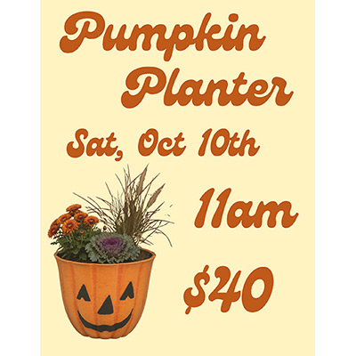 Pumpkin Planter