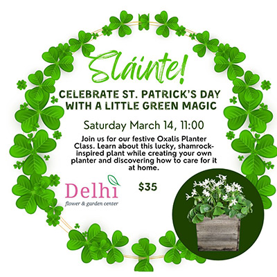 St. Patrick's Day Planter