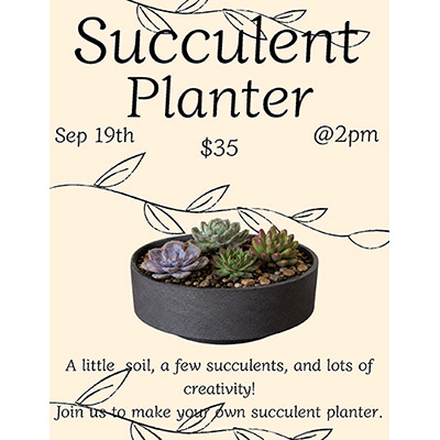 Succulent Planter