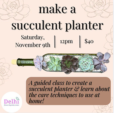 Make a Succulent Planter