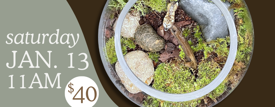 Build a terrarium workshop. Saturday January 13th at 11AM. $40 registration fee. Sign up now!