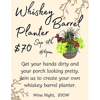 Whiskey Barrel Planter