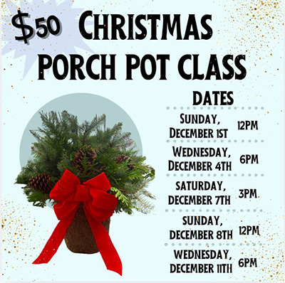 Join us for a Christmas porch pot workshop—multiple dates and times available.