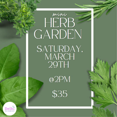 Mini Herb Garden Class