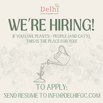 We're hiring! If you love plants, people and cats this is the place for you!