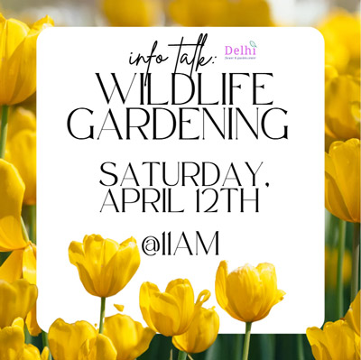 Info Talk: Wildlife Gardening