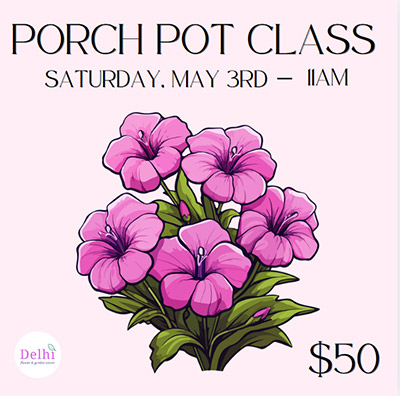 Porch Pot Class