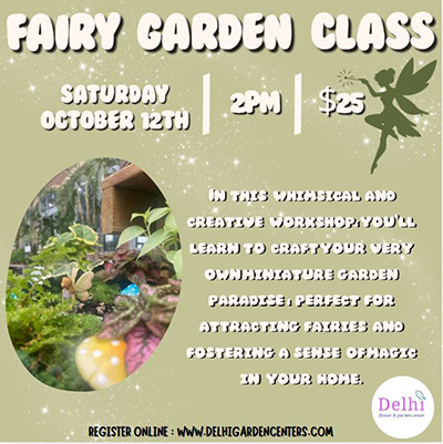 Create a mini garden paradise at our Fairy Garden workshop on Saturday October 12th at 2PM. Register now - $25!