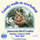 Bring the family to Delhi Garden center any time from 11 to 4 on Sunday January 26th and take part in our pine cone bird feeder workshop! Registration is not required, $10 at the door to participate! Note that this workshop may not be appropriate for individuals with food allergies.