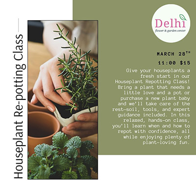 Houseplant Repotting Class
