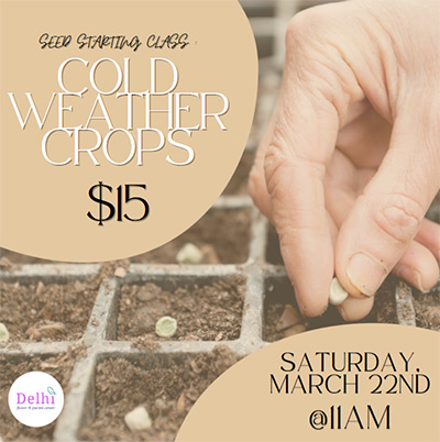 Seed Starting Class: Cold Weather Crops