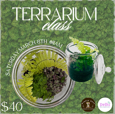 Terrarium Class Saturday March 8th at 11 am, $40 registration