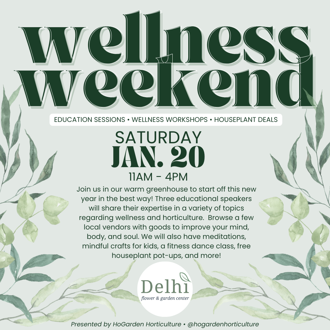 Wellness Weekend